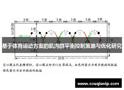 基于体育运动方案的肌肉群平衡控制策略与优化研究